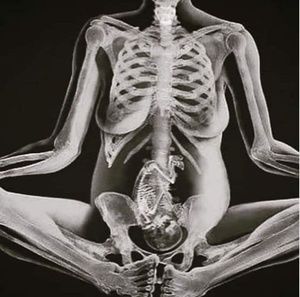 Meet your Posher, Shay